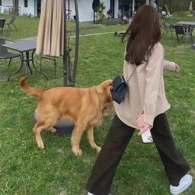 我们身处的谎言世界